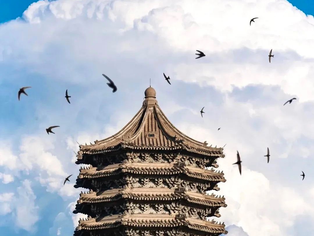 伟易博(中国区)官方网站