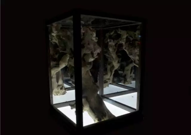 ΰÒײ©(ÖйúÇø)¹Ù·½ÍøÕ¾