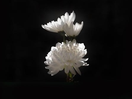 伟易博(中国区)官方网站