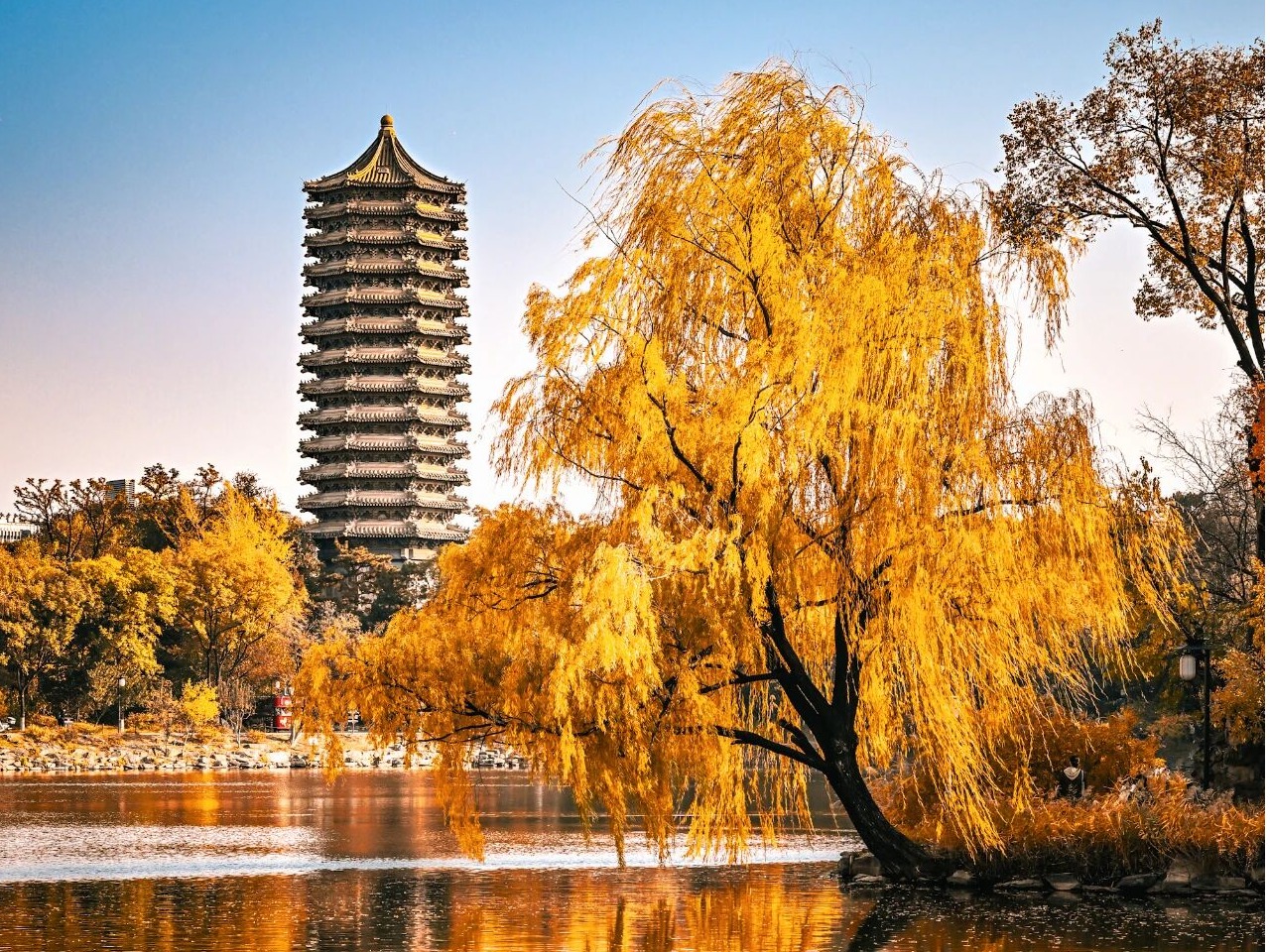 伟易博(中国区)官方网站