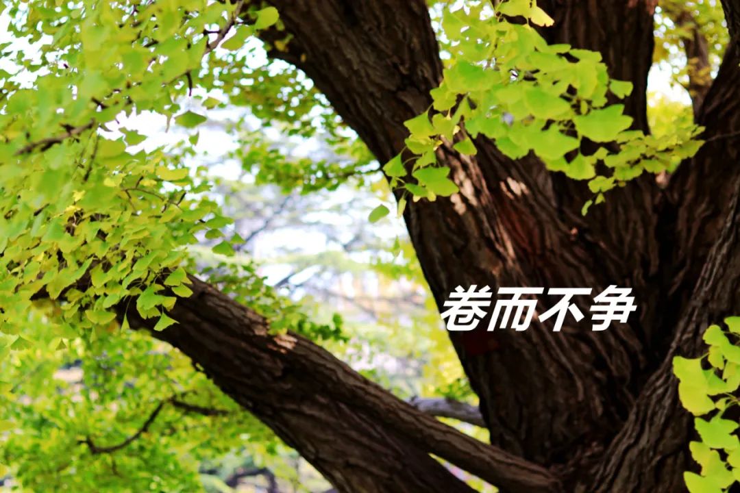 伟易博(中国区)官方网站