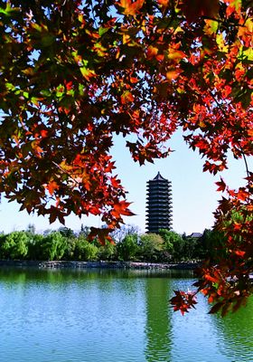 伟易博(中国区)官方网站