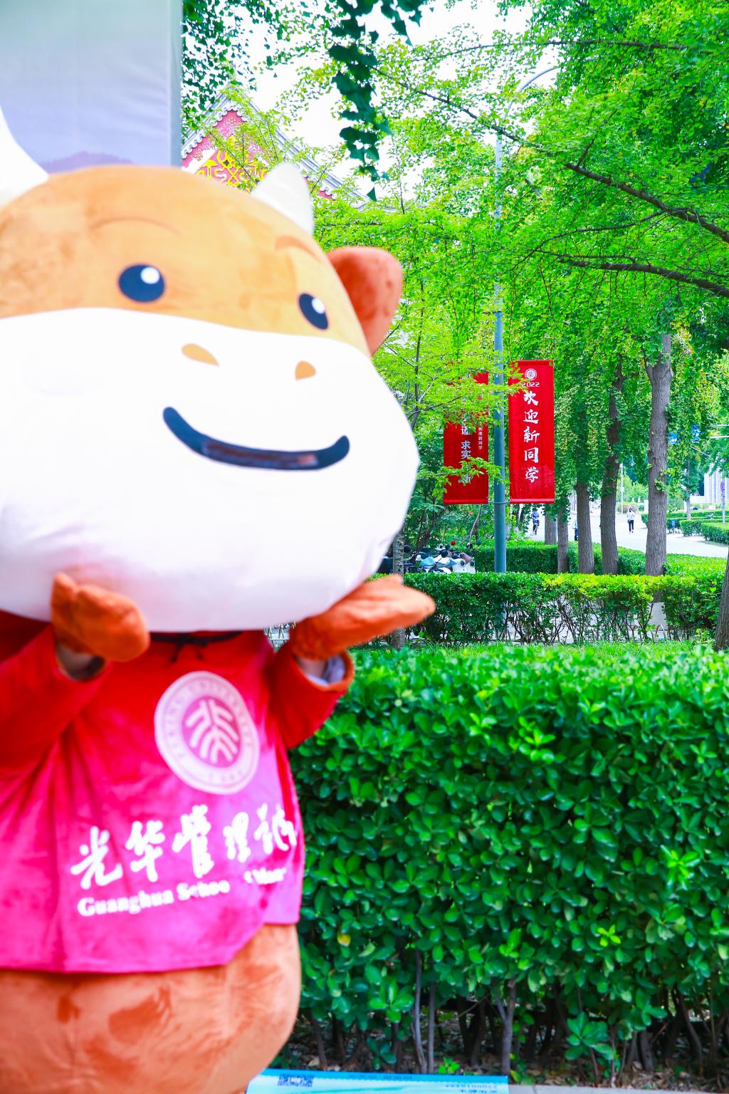 伟易博(中国区)官方网站