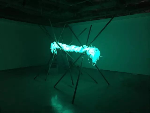 ΰÒײ©(ÖйúÇø)¹Ù·½ÍøÕ¾