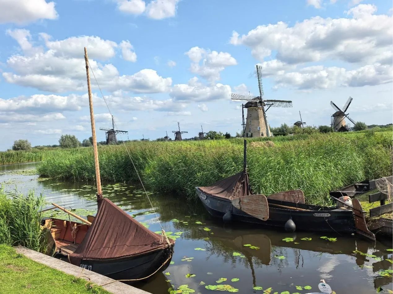 伟易博(中国区)官方网站