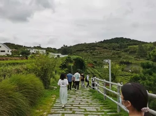 伟易博(中国区)官方网站