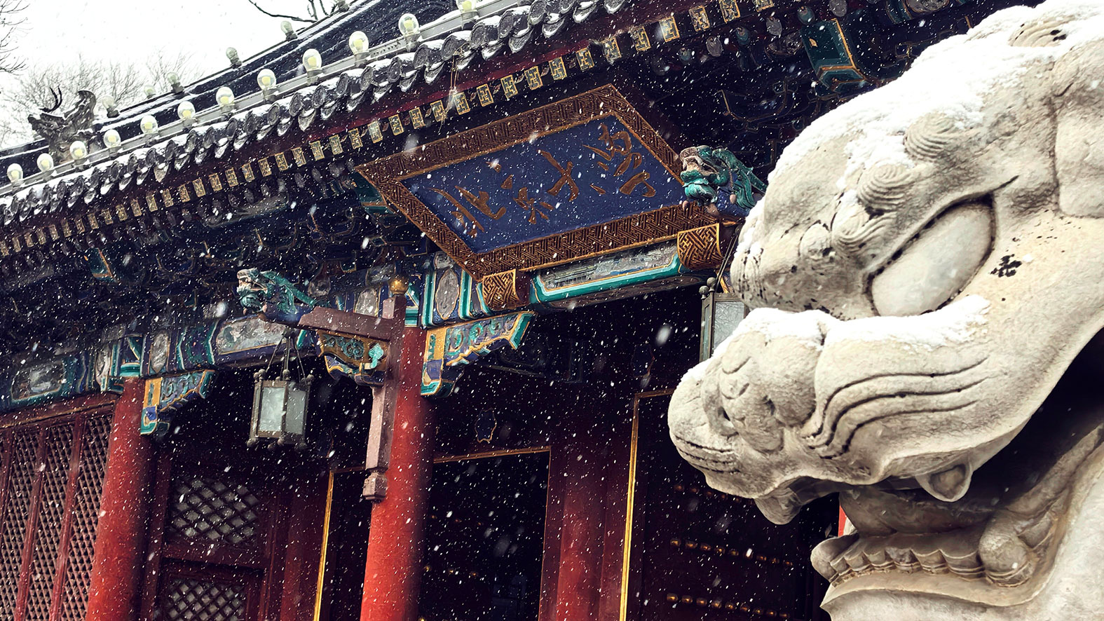 伟易博(中国区)官方网站