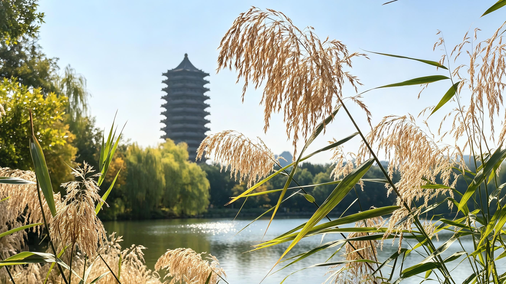 伟易博(中国区)官方网站
